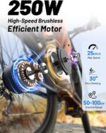 DUOTTS C29 Bicicletta Elettrica Adulti, 29 Pollici E Mountain Bike con Batteria Rimovibile da 48V 15Ah e 250W Motore, Professionale 21 Velocità con LCD Display, Bici Elettrica per Uomo e Donna - immagine 3